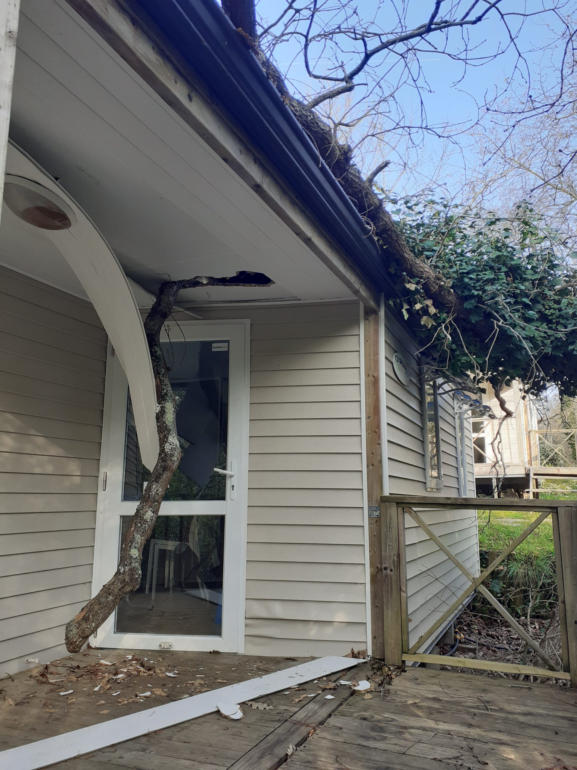 maison endommagée par un arbre tombé