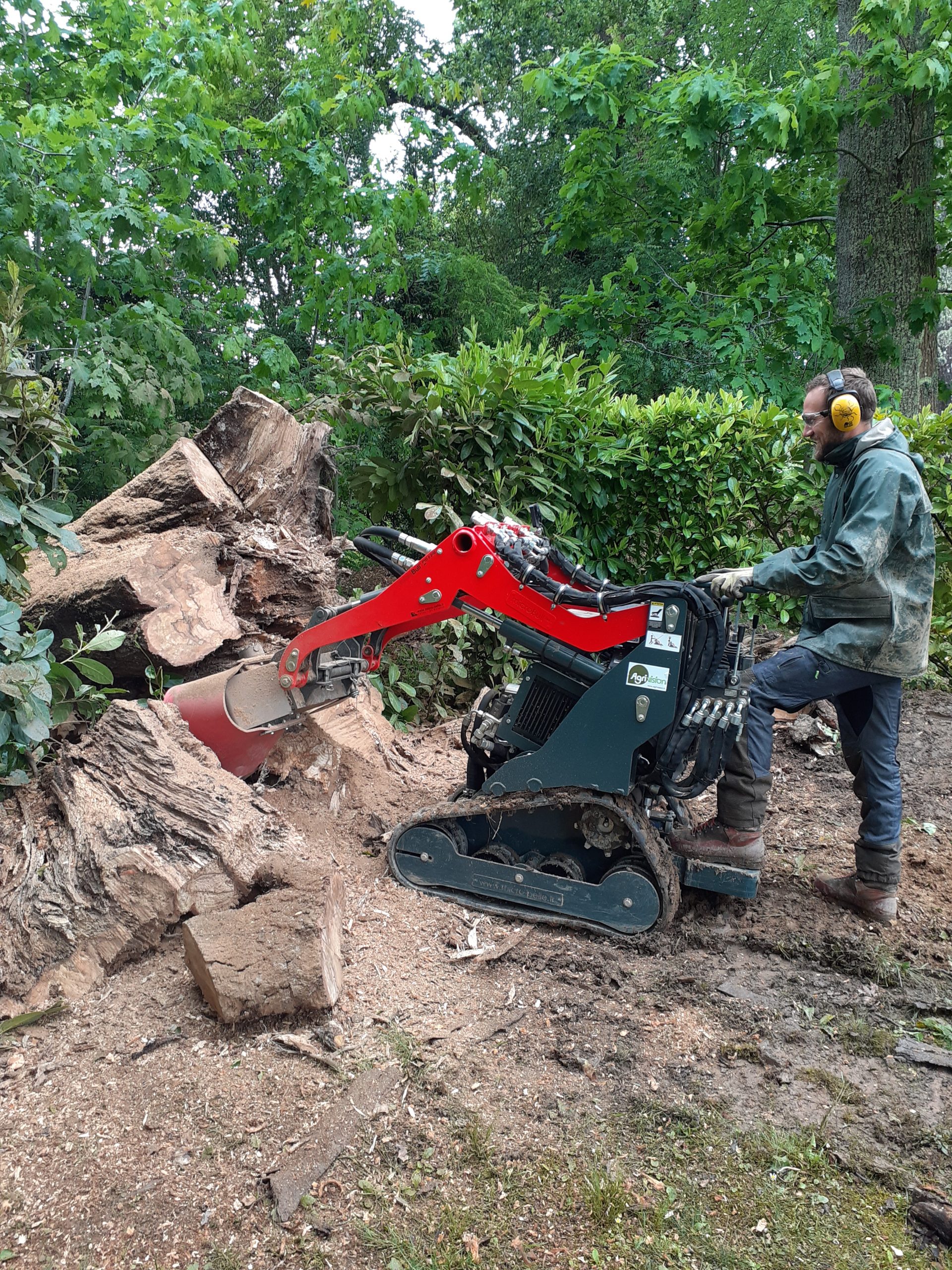Théo, élagueur, rogne une souche avec une rogneuse professionnelle 
