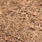 transformation des branches en copeaux à l'aide de notre broyeur professionnel